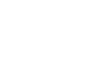 Suur-Savon Sähkö Oy logo