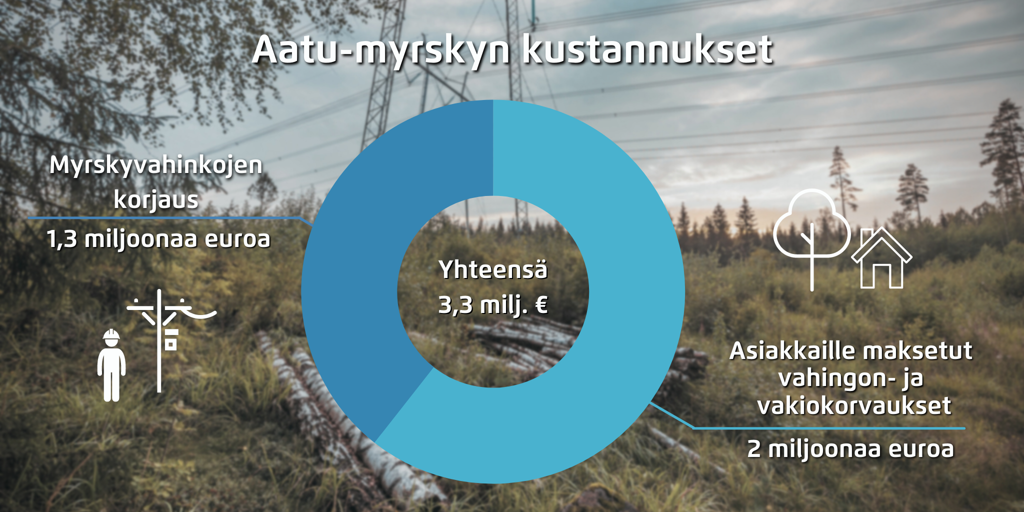 Aatu_myrskyn_kustannukset